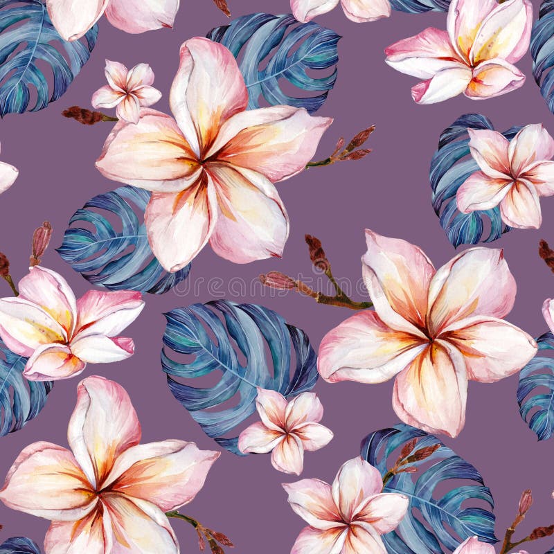 Exotischer Plumeria blüht und grünes monstera verlässt auf purpurrotem Hintergrund im nahtlosen tropischen Muster Adobe Photoshop lizenzfreie abbildung Exotischer Plumeria blüht und grünes monstera verlässt auf purpurrotem Hintergrund im nahtlosen tropischen Muster Adobe Photoshop lizenzfreie abbildung