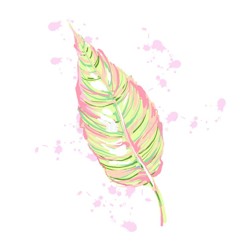 Exotisches Blattelement mit Spritzen, Vektorillustration mit Anlage in der hellen Pastellpalette lizenzfreie abbildung Exotisches Blattelement mit Spritzen, Vektorillustration mit Anlage in der hellen Pastellpalette lizenzfreie abbildung