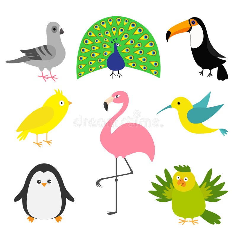 Exotisk fågeluppsättning Colibri kanariefågel, papegoja, duva, duva, flamingo, tukan, pingvin, påfågel Gullig symbol för tecknad stock illustrationer Exotisk fågeluppsättning Colibri kanariefågel, papegoja, duva, duva, flamingo, tukan, pingvin, påfågel Gullig symbol för tecknad stock illustrationer