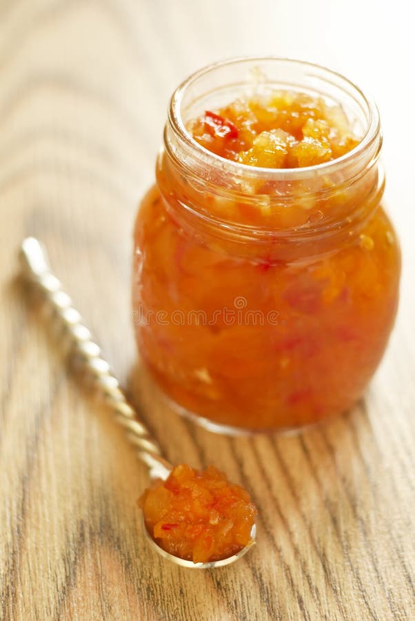 exotiskt hemlagat för chutney royaltyfri bild exotiskt hemlagat för chutney royaltyfri bild