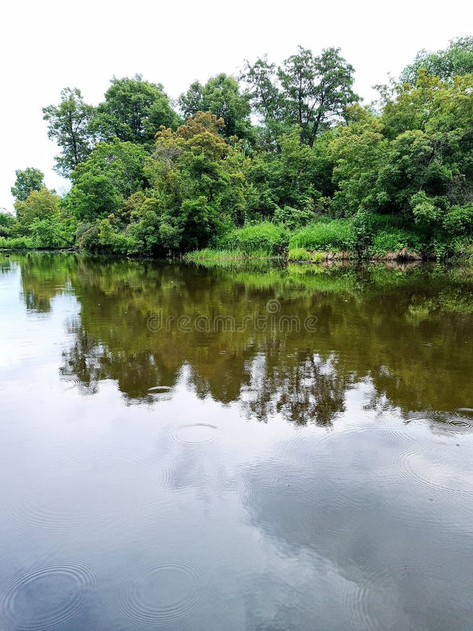 The Expanse of the Forest Lake Reflects the Sky. Stock Photo Image of