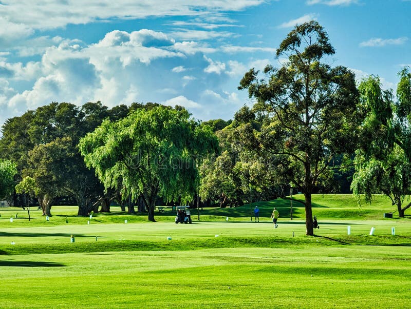 Sydney Australia golf course, expansive view with many trees and very lush green grass. Early morning with cloudy sky. Few people playing. Sydney Australia golf course, expansive view with many trees and very lush green grass. Early morning with cloudy sky. Few people playing.