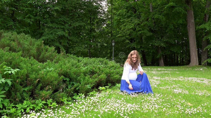 Expectant mother picking daisy flowers in park meadow. steadycam