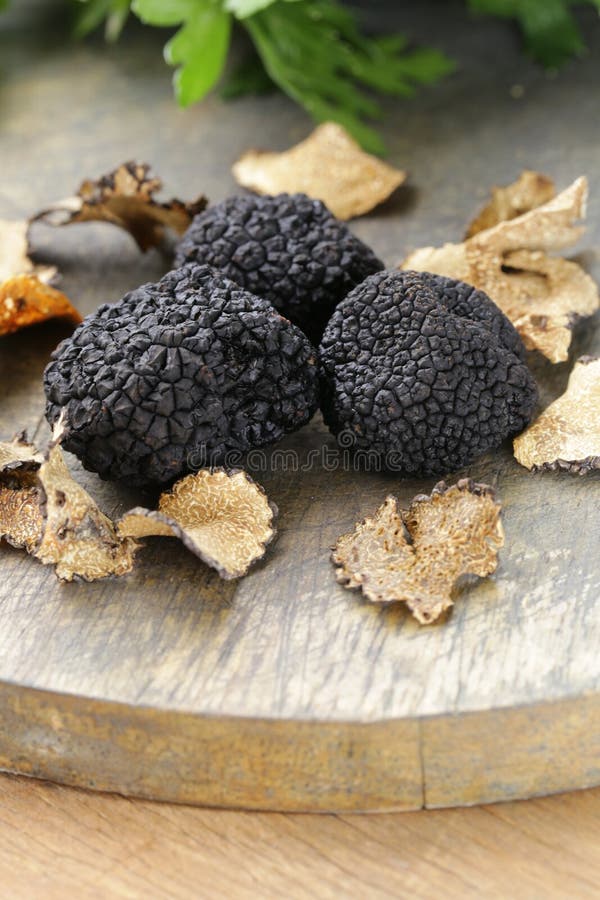 Expensive Rare Black Truffle Mushroom Stock Photo Image of