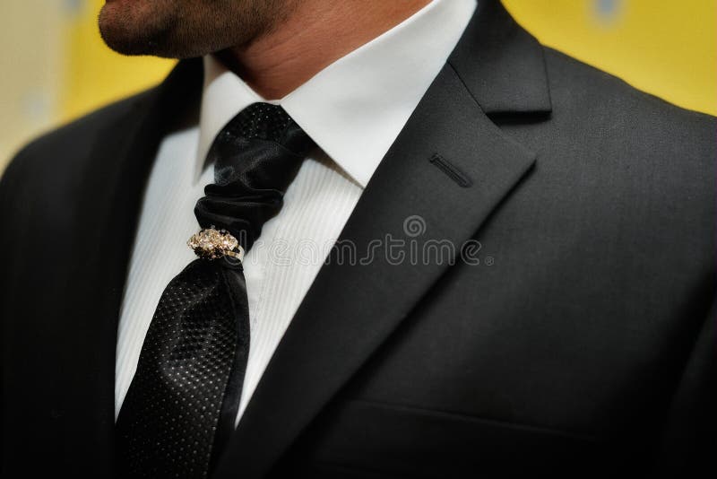 Expensive Suit. Classically Tie and Luxury Tie Clip Stock Photo - Image ...