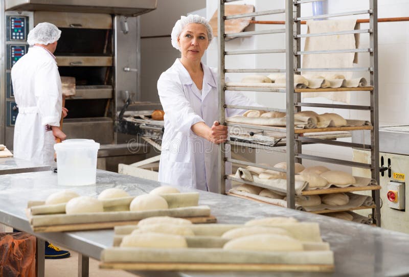 a baker carries a cart with a baking tray with raw dough into a