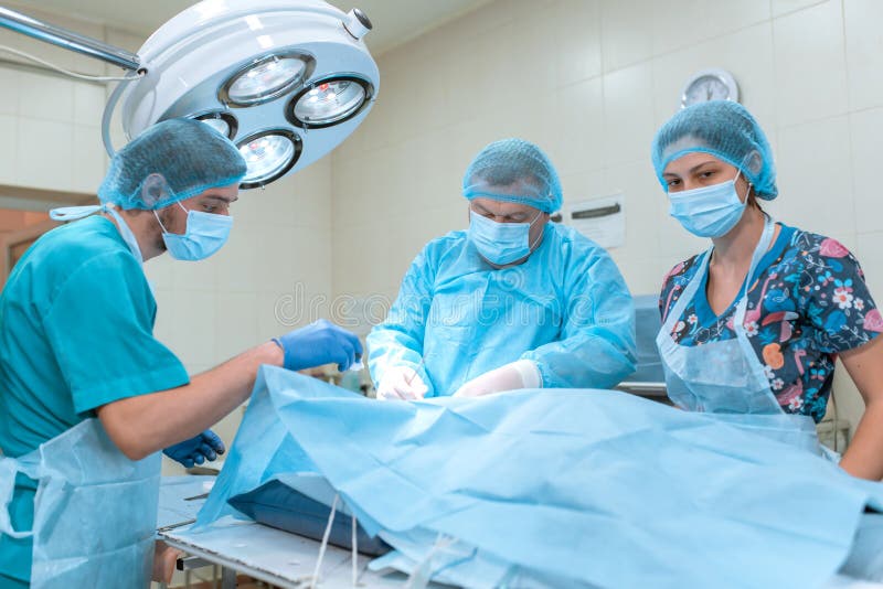 An experienced surgeon in a mask and gown operates in a sterile operating room with an assistant and an anesthesiologist..A group stock image An experienced surgeon in a mask and gown operates in a sterile operating room with an assistant and an anesthesiologist..A group stock image