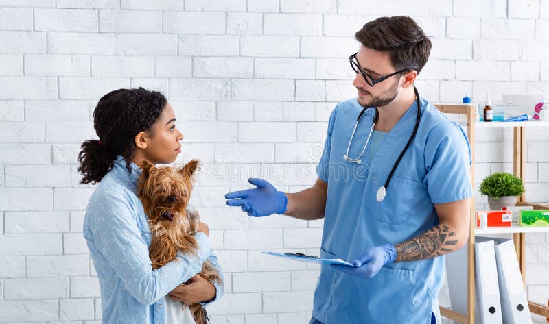 Professional veterinarian doctor talking to client in medical office. Professional veterinarian doctor talking to client in medical office