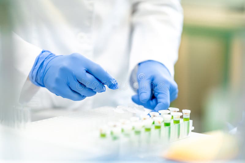 Experimental Research of Chemical Substances in a Scientific Laboratory