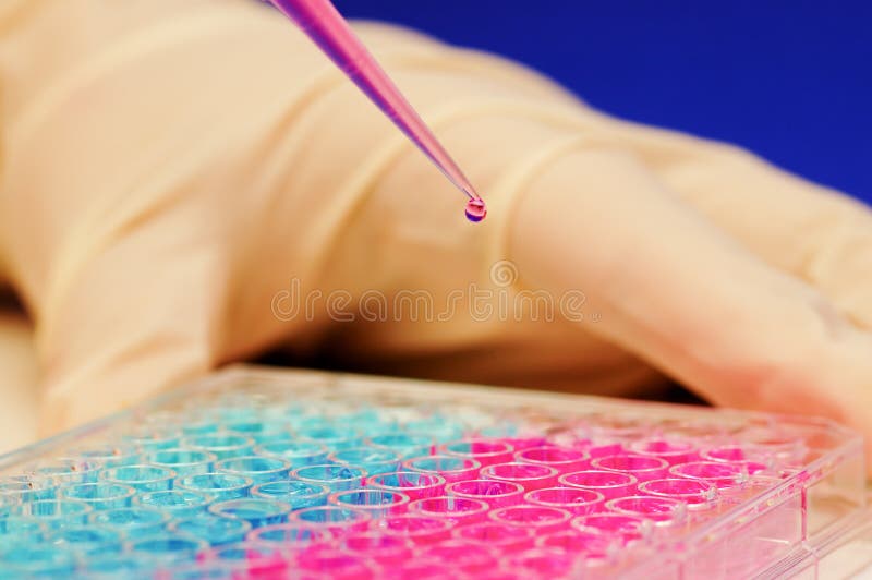 Experimento de la biotecnología