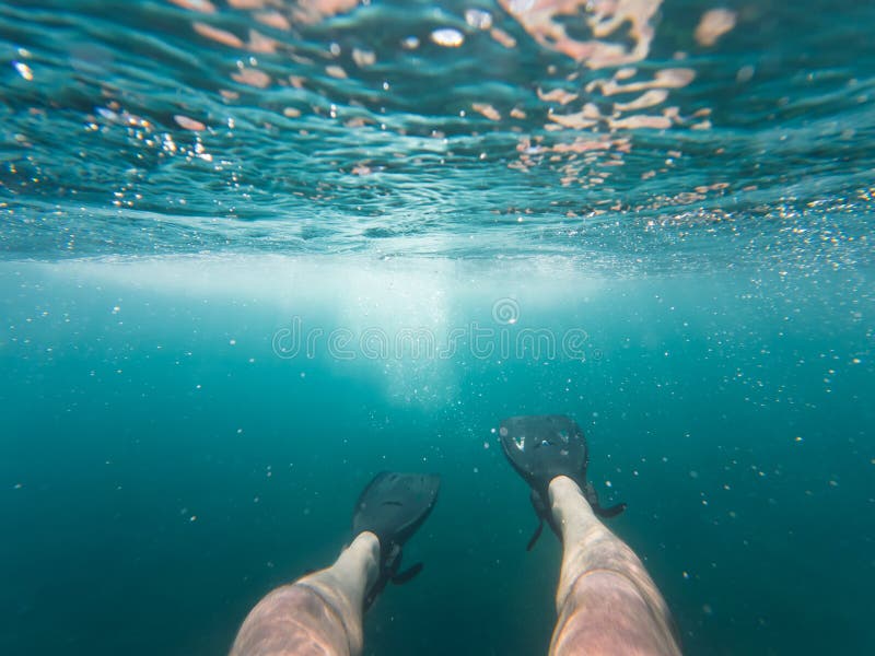 Exploración submarina : las piernas de los submarinistas en las aletas descienden a las profundidades del océano fotografía de archivo