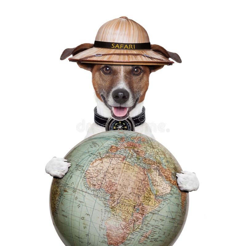 Explorador do safari do cão do compasso do globo do curso