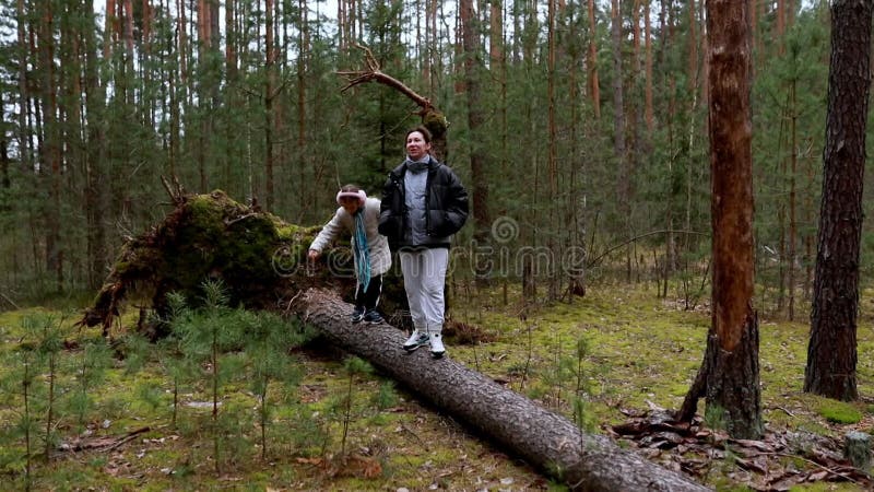 Explorando un árbol caído en un bosque sereno durante un día fresco con niños almacen de metraje de vídeo