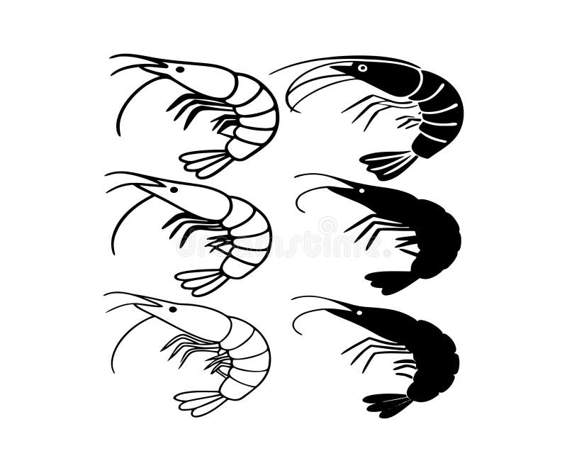 Explorar la fluidez y gracia de los camarones con esta exquisita serie de ilustraciones en blanco y negro stock de ilustración