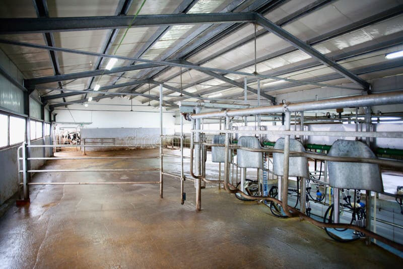 Exploração agrícola da vaca que ordenha o sistema fotos de stock Exploração agrícola da vaca que ordenha o sistema fotos de stock