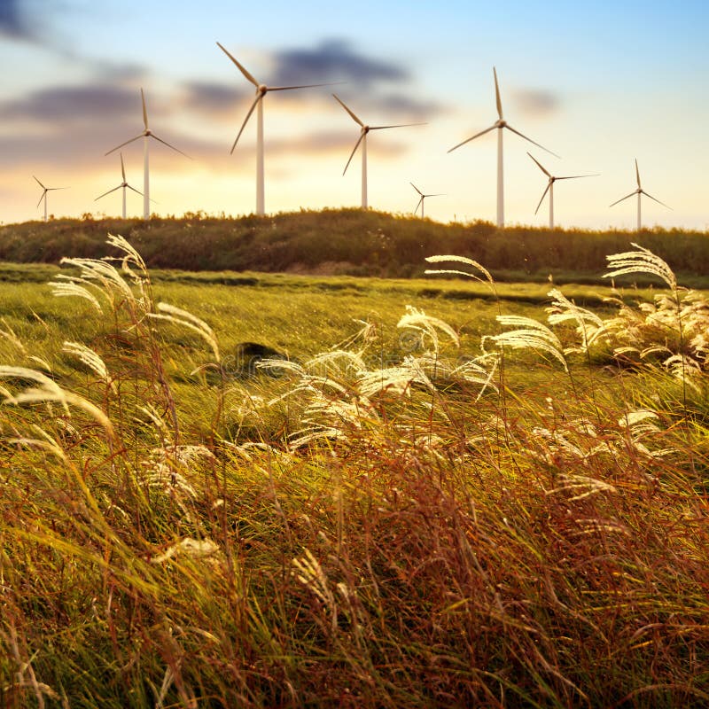 Exploração agrícola de vento imagem de stock