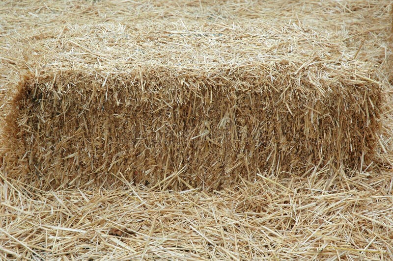 Exploração agrícola do celeiro do feno fotografia de stock Exploração agrícola do celeiro do feno fotografia de stock
