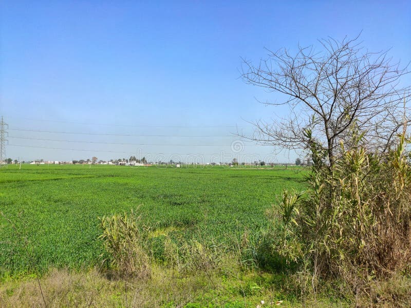 A Beautiful Farmer Village Seen of Punjab in India during Morning Time ...