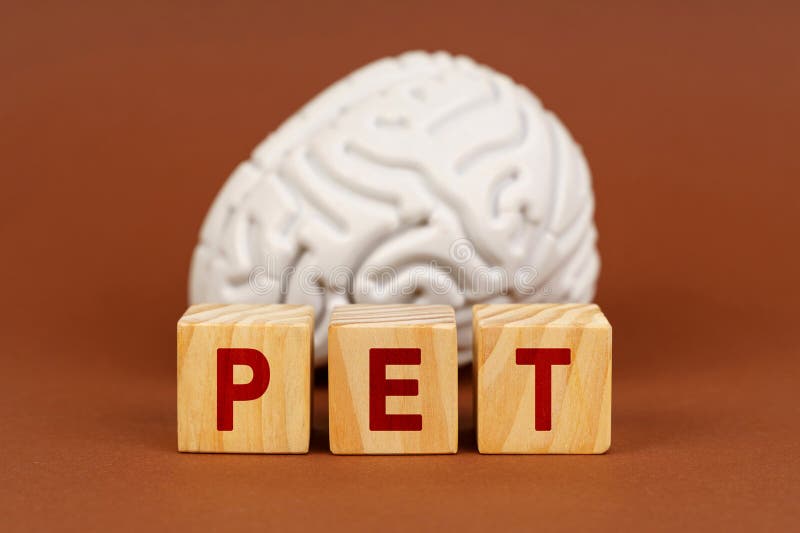 Exploring brain activity through positron emission tomography with creative wooden blocks in a warm setting stock photography