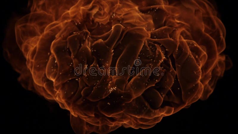 Explosión de la bola de fuego, cámara de alta velocidad, llama aislada del fuego en fondo negro ilustración del vector