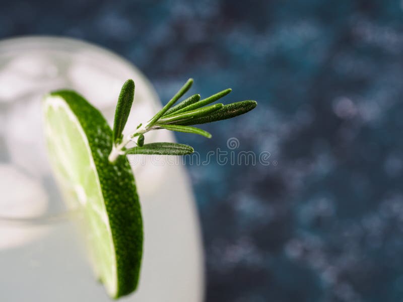 Exponeringsglas av Martini coctail med nya rosmarin arkivbilder Exponeringsglas av Martini coctail med nya rosmarin arkivbilder
