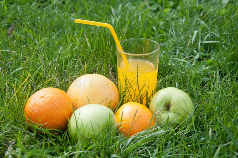Exponeringsglas av nytt pressande orange fruktsaft och frukter på grönt gräs arkivfoton Exponeringsglas av nytt pressande orange fruktsaft och frukter på grönt gräs arkivfoton