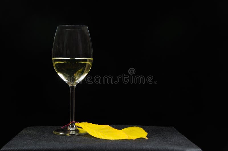 Exponeringsglas av vitt vin på svart bakgrund royaltyfri foto Exponeringsglas av vitt vin på svart bakgrund royaltyfri foto