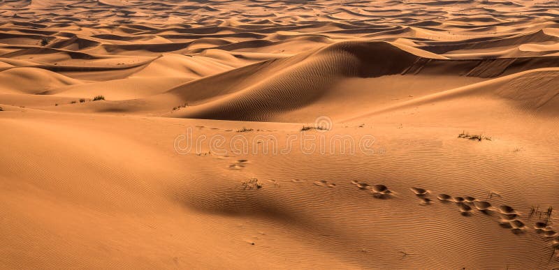 Exposición de la puesta del sol del desierto cerca de Dubai, United Arab Emirates fotografía de archivo libre de regalías Exposición de la puesta del sol del desierto cerca de Dubai, United Arab Emirates fotografía de archivo libre de regalías