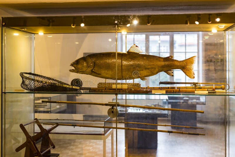 The Exposition of the History of Animals, Horns and Fish Instruments of  Fishing and Hunting is a Museum of Hunting and Fishing. Editorial  Photography - Image of background, germany: 166009857