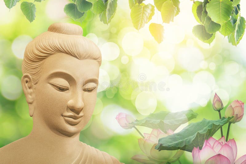 exposição dobro do lírio de flor ou de água de lótus e da cara da estátua de buddha foto de stock exposição dobro do lírio de flor ou de água de lótus e da cara da estátua de buddha foto de stock