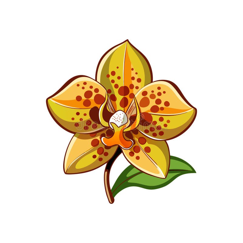 Exquisite Leopard Orchid Flower Detailed Artwork stock illustration