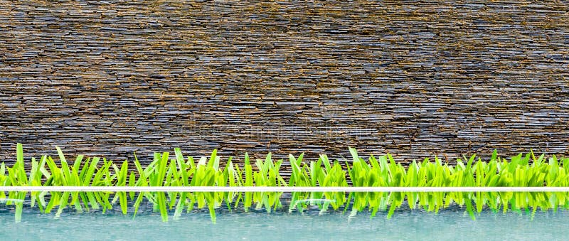 Exterior wall of modern beautiful building, brick wall with little green tree and its reflection on water.