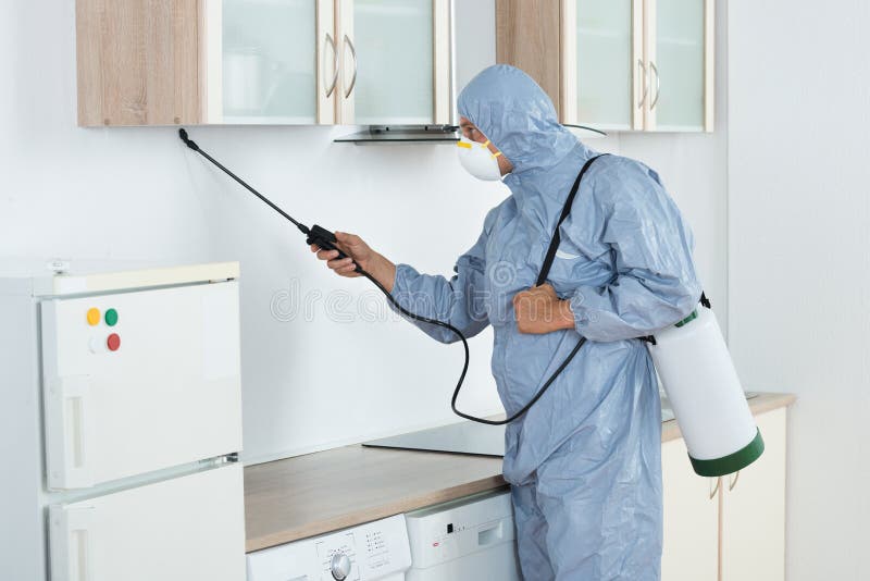 Exterminador In Spraying Pesticide en cocina fotos de archivo Exterminador In Spraying Pesticide en cocina fotos de archivo