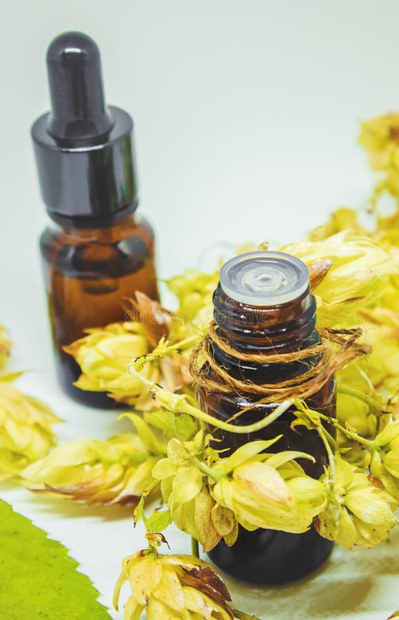 Extract of Hops in a Small Jar. Stock Image Image of benefit