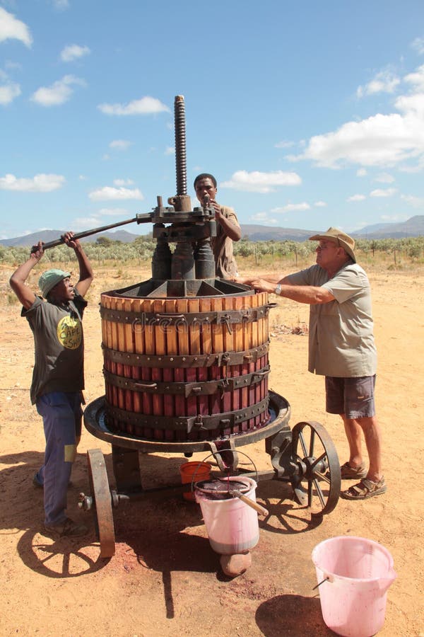 Extracting Wine Juice with a Wine Press Stock Image Image of