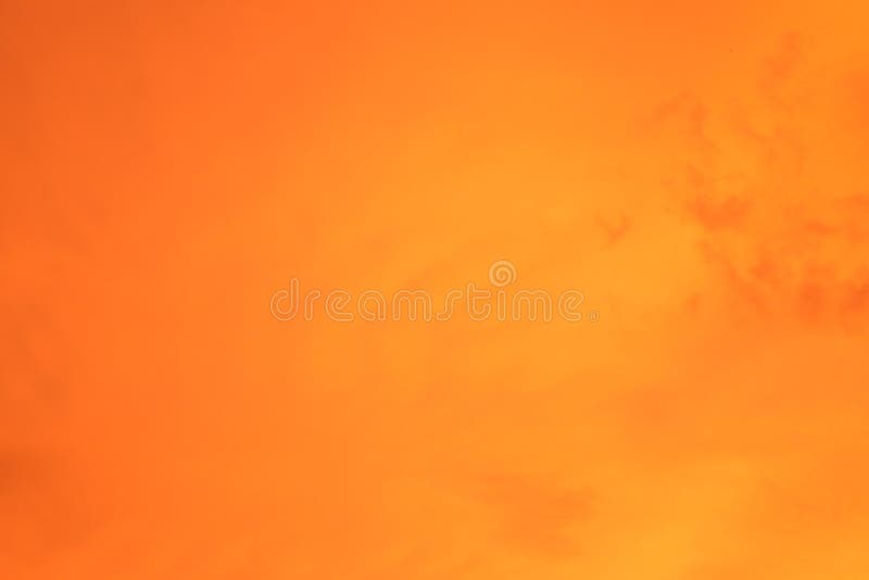 Solid Yellow Wallpapers Top Free Solid Yellow Backgrounds WallpaperAccess