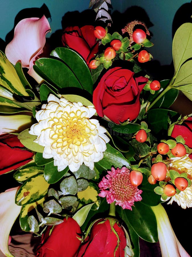 Extraordinary Subscription Flowers Stock Photo Image of houseplant