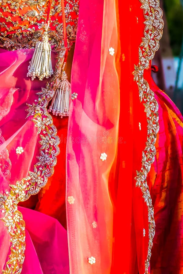 Extravagant Sari Dress Worn by a Guest at a Wedding in India Stock