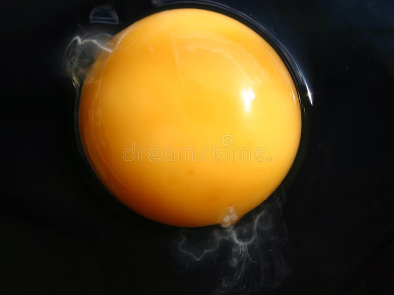 Extrem eggs Serie VIII stockbild Extrem eggs Serie VIII stockbild