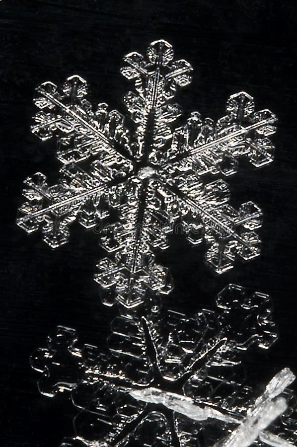 Extreme Close Up of Snow Flake