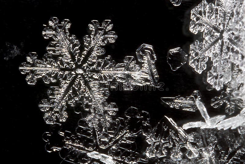 Extreme Close Up of Snow Flake stock images