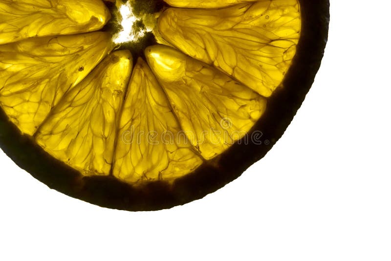 Extreme Closeup of a Fresh Orange Stock Photo Image of drop, orange