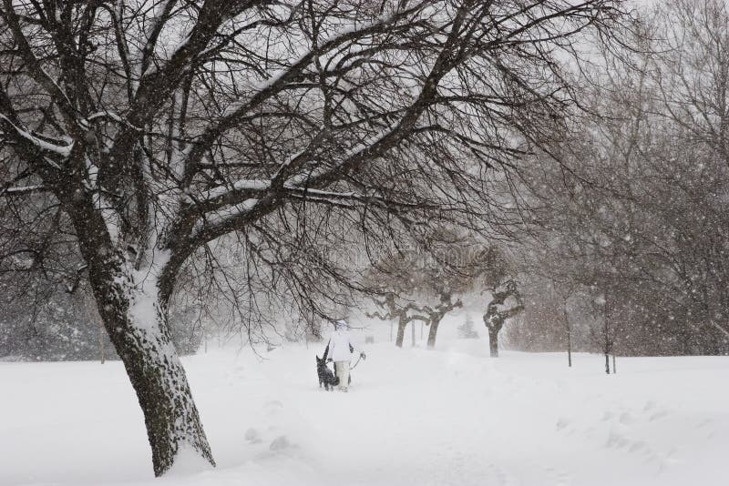 Extreme Conditions stock image. Image of seasons, seasonal - 7501577