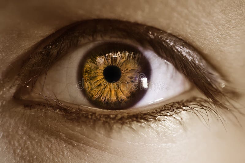 Extreme Macro of a brown eye stock image