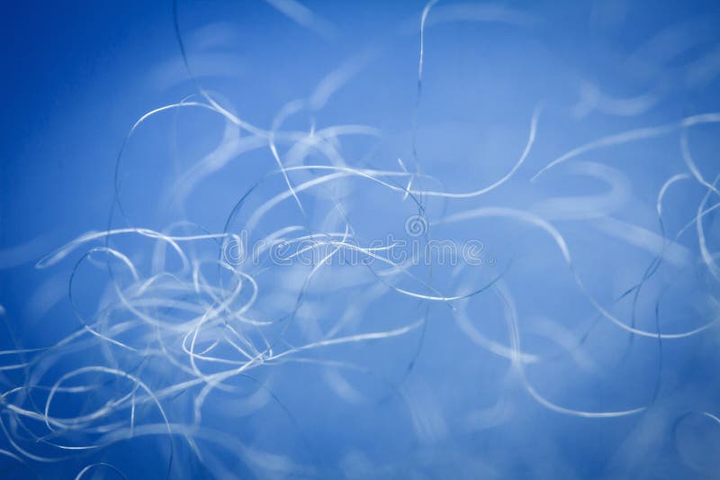 Extreme macro of polyester stable fiber on blue background stock image