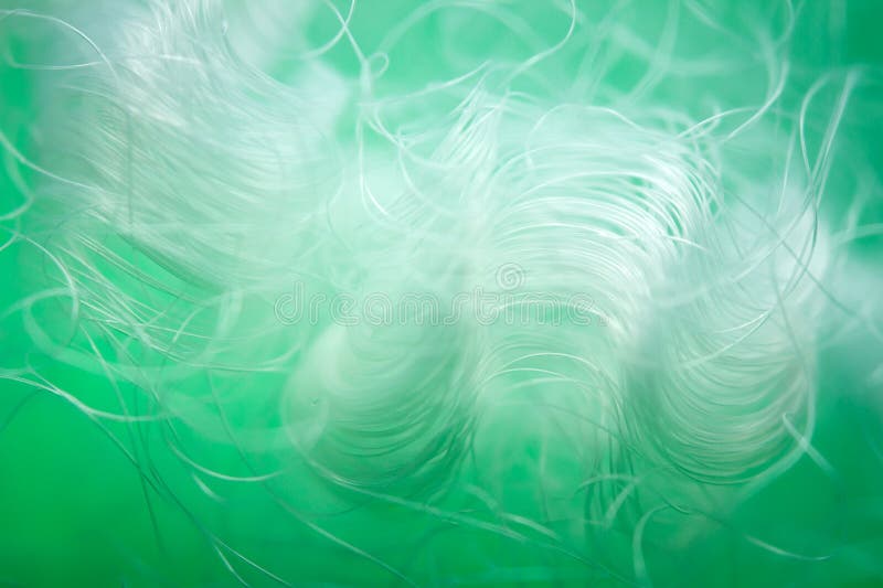 Extreme macro of polyester stable fiber on green background royalty free stock photography