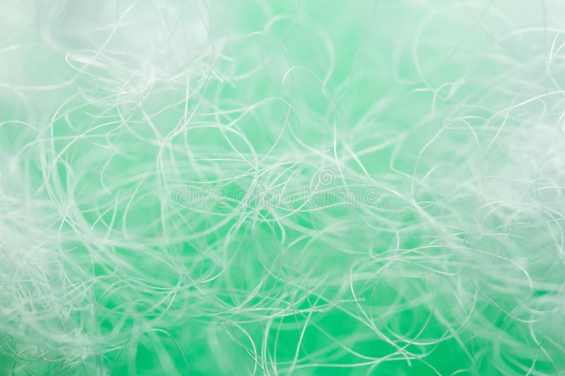 Extreme macro of polyester stable fiber on green background royalty free stock image