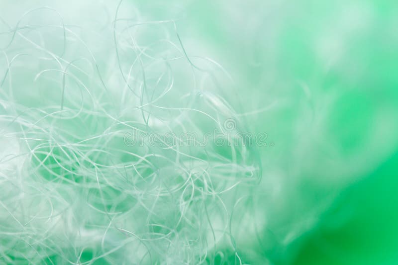 Extreme macro of polyester stable fiber on green background stock images