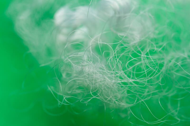 Extreme macro of polyester stable fiber on green background royalty free stock images