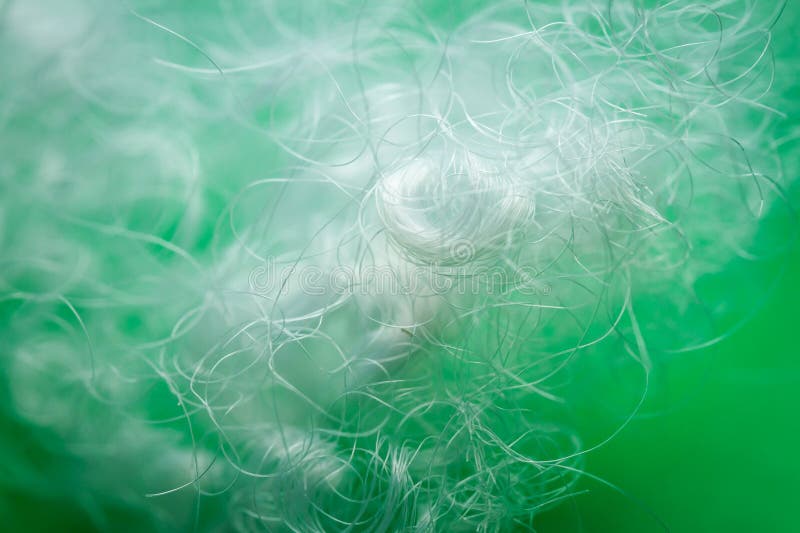 Extreme macro of polyester stable fiber on green background royalty free stock photos